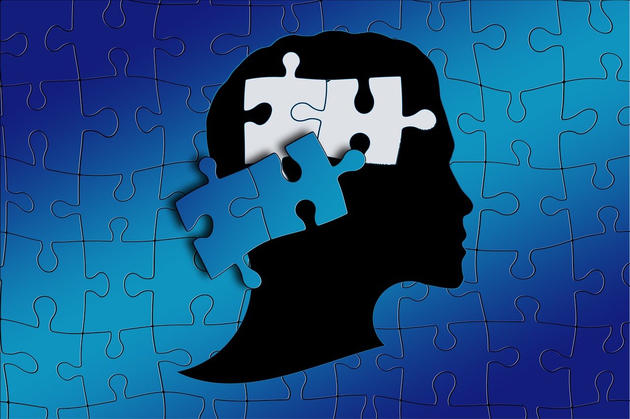 探索教育学与心理学的综合，理论与实践的交汇点