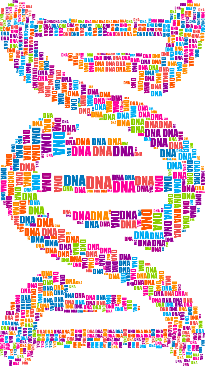 探索心理健康，测试量表的科学与艺术