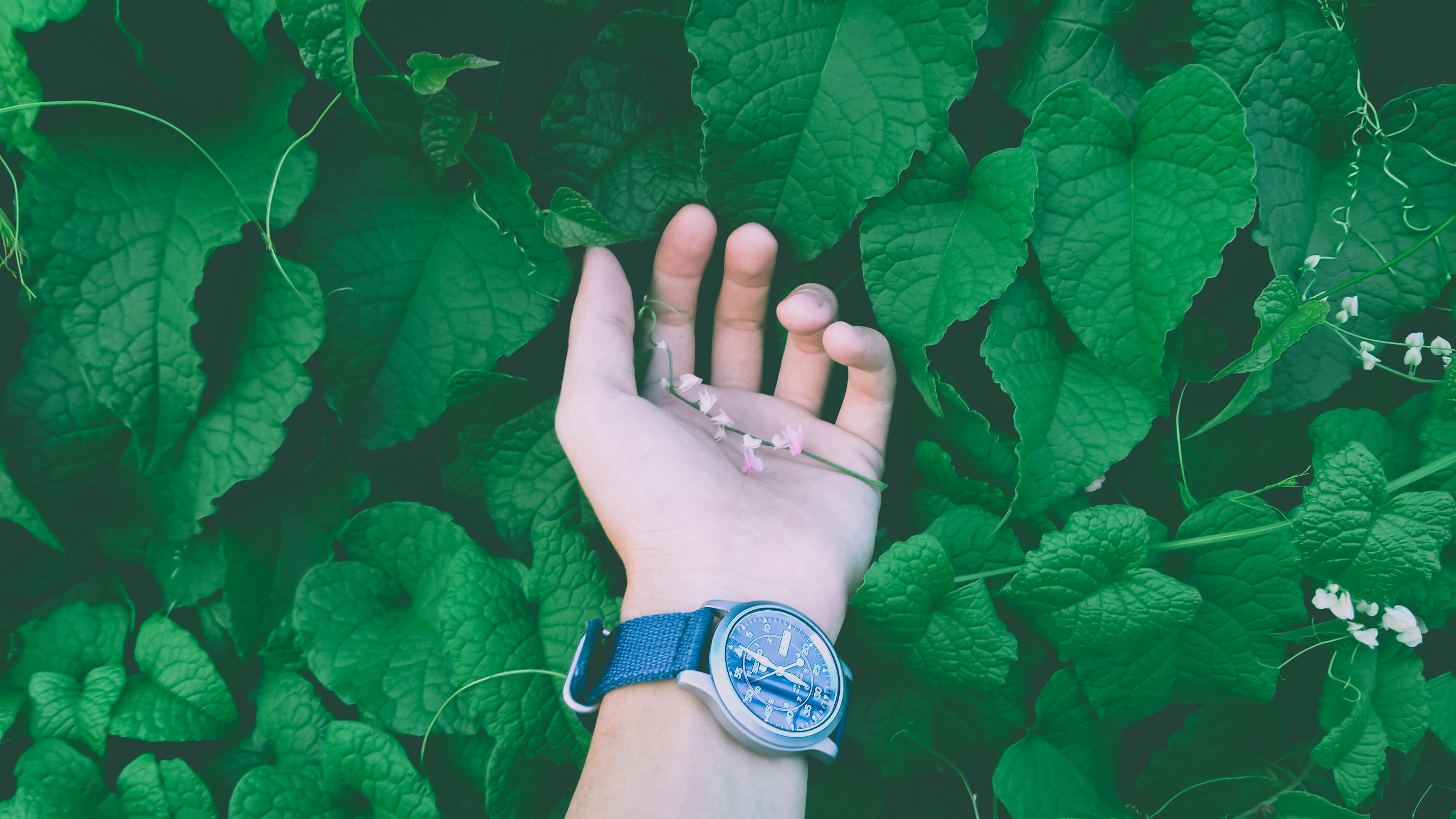 雨中人心理测试分析