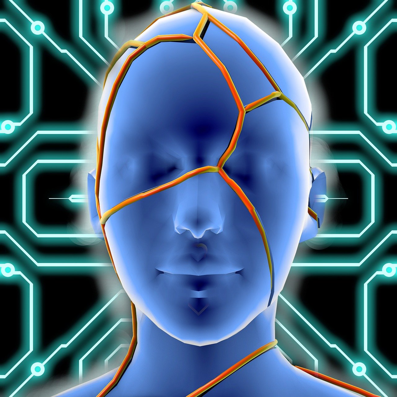 探索未来，社会科学试验班毕业生的就业方向