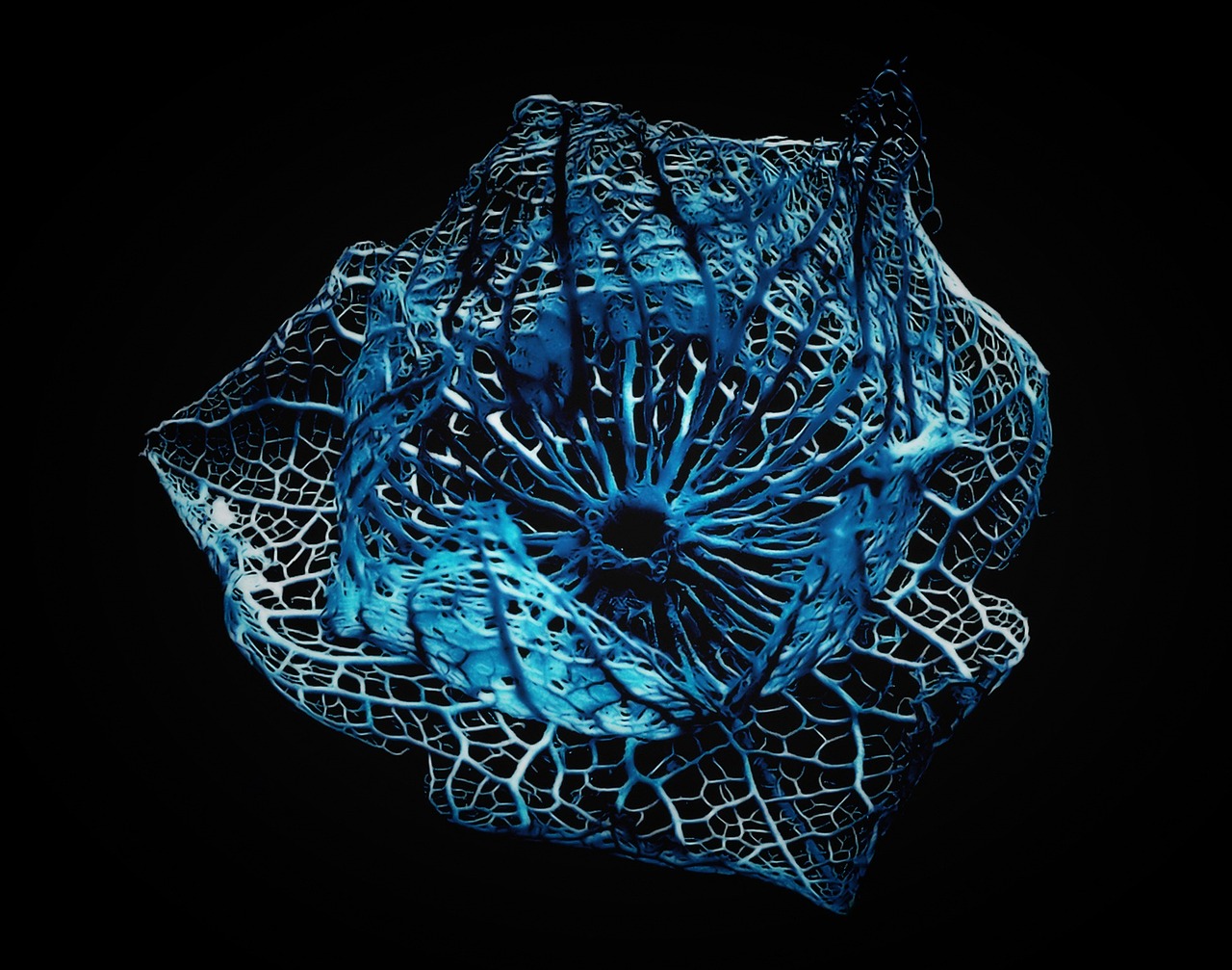 沟通技巧