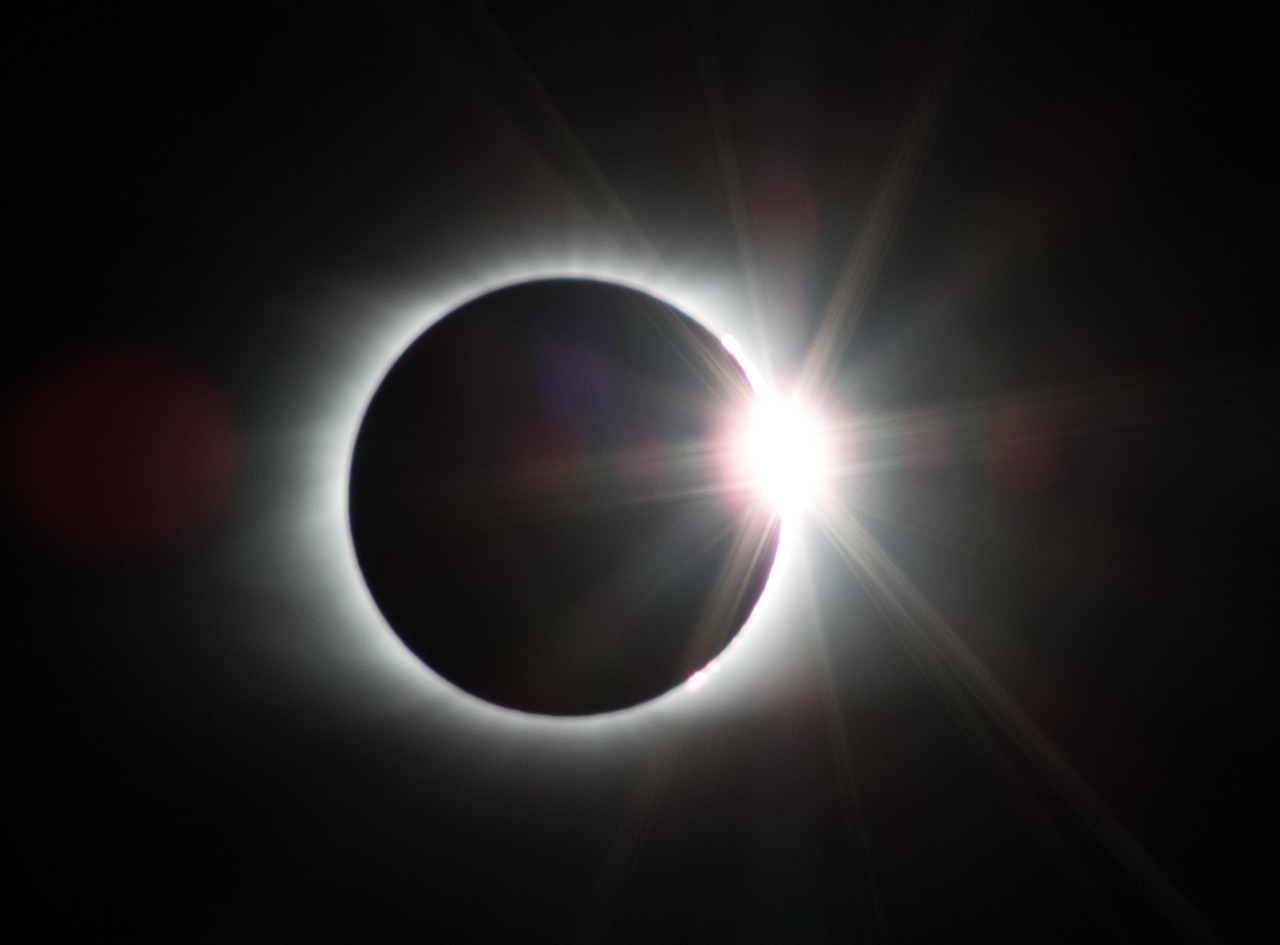 绘画心理分析中的太阳、树与蛇，探索潜意识的象征