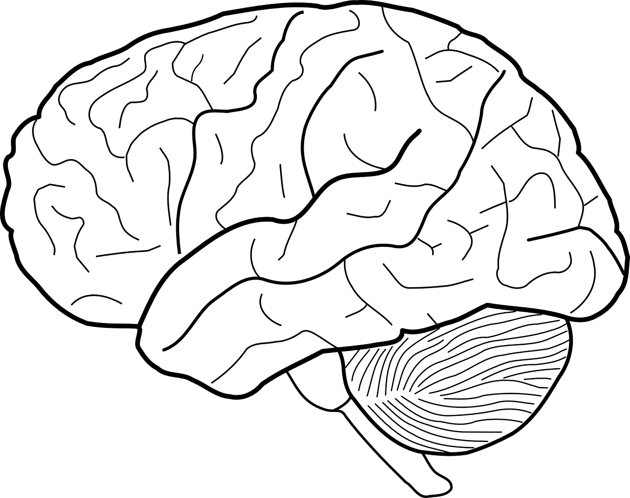 关注心理健康手抄报