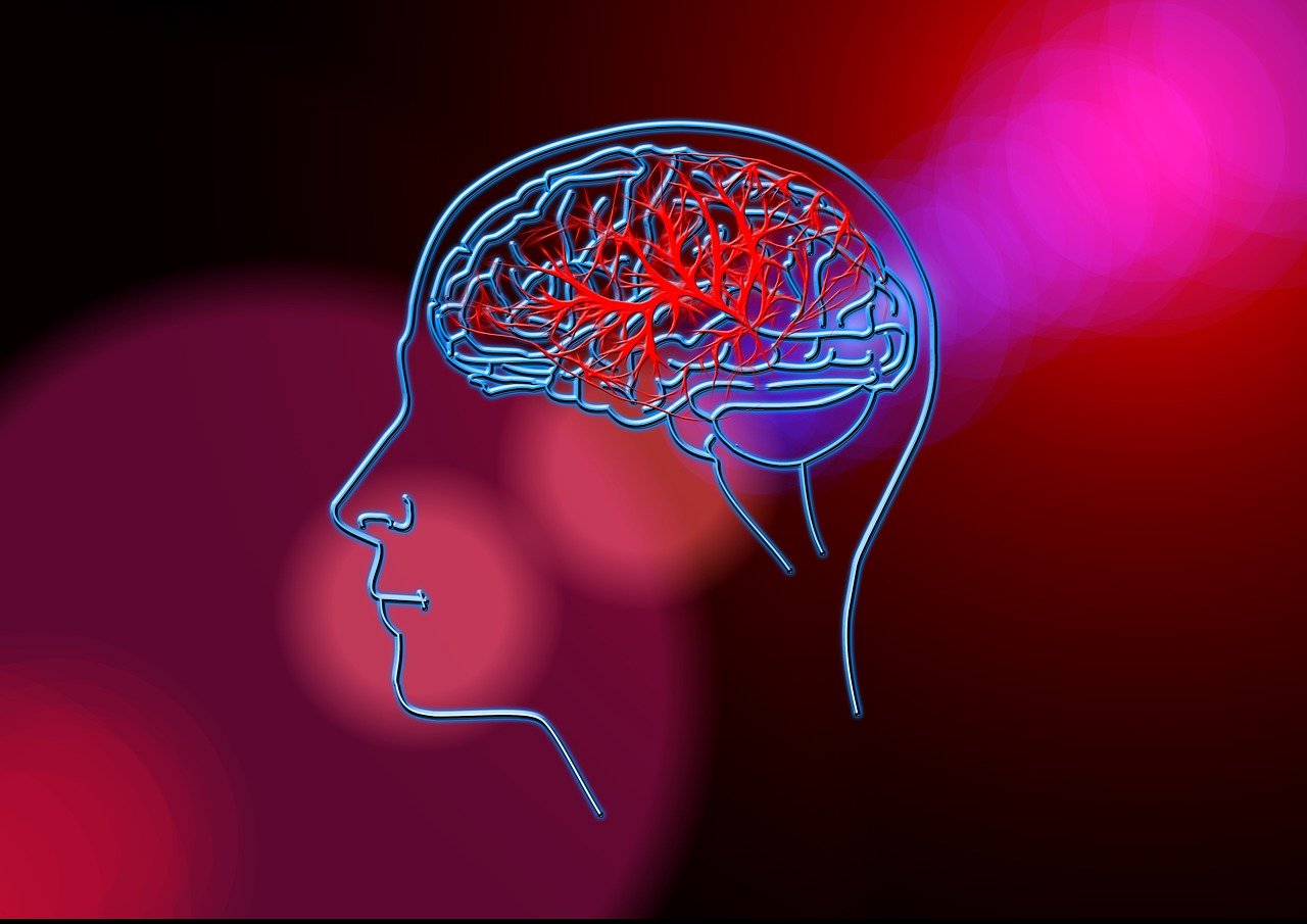 母亲心理学，探索母爱的科学与艺术